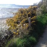 chemin 2